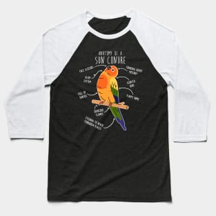 Sun Conure Parrot Anatomy Baseball T-Shirt